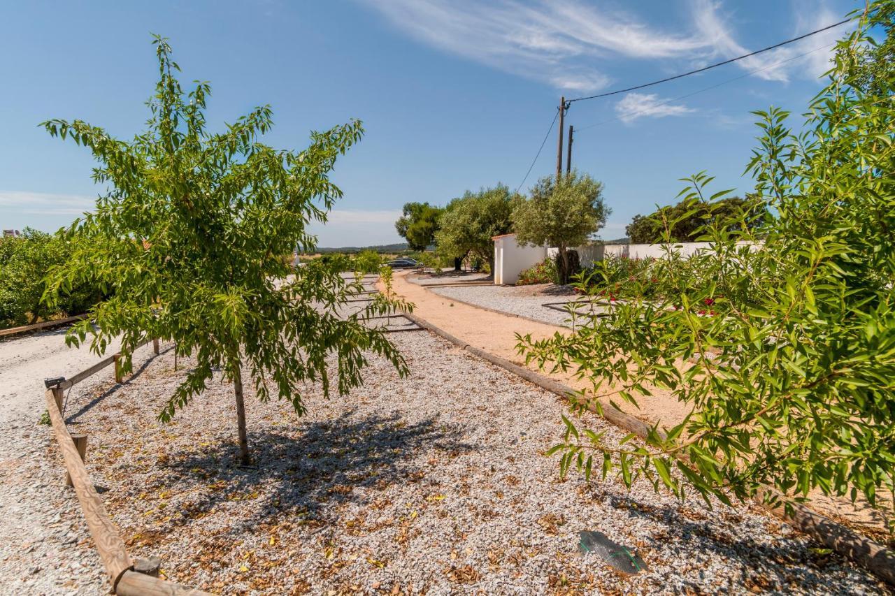 Monte Da Cabeca Gorda Bed & Breakfast Alcacovas Exterior photo